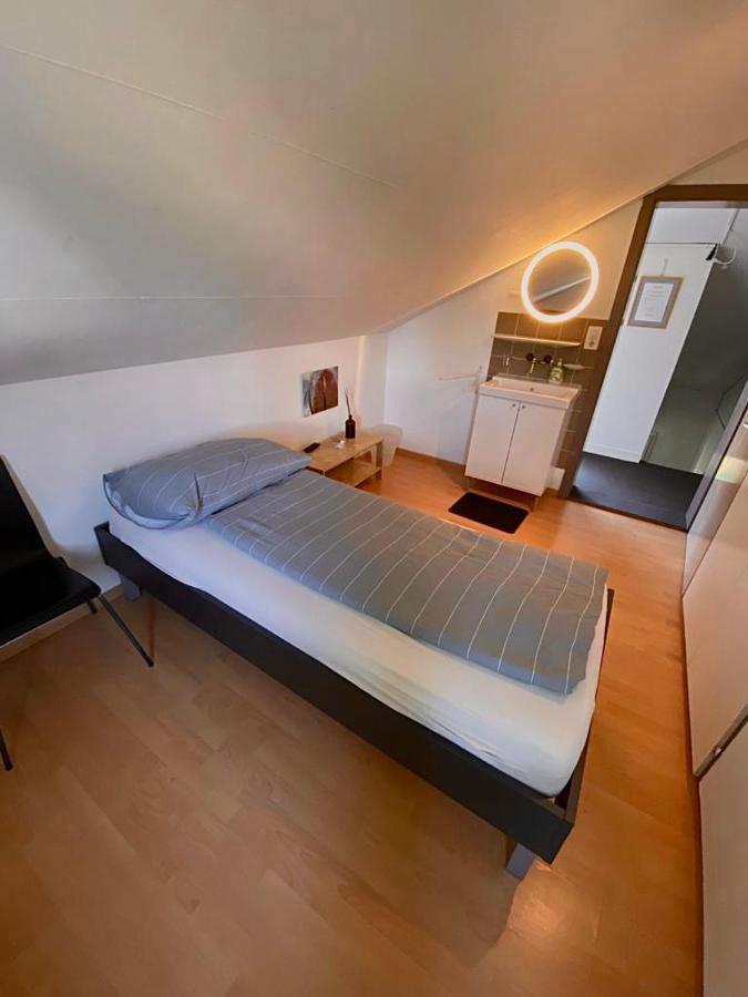 Budgetapartment Zeppelin Von Swisspartments اربون المظهر الخارجي الصورة